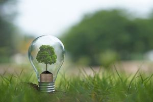 Energy Efficiency - tree inside a lightbulb